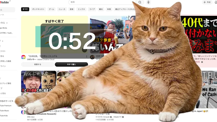 Cat Gatekeeper: إضافة متصفح توقف التمرير المفرط بقط ضخم يسيطر على الشاشة